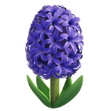 Aromatiche